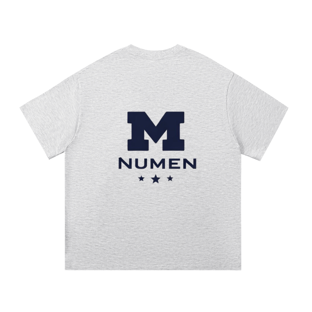 Michigan 5 Star Tee