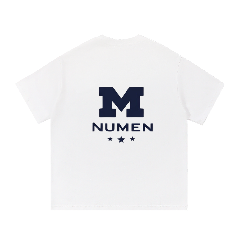 Michigan 5 Star Tee